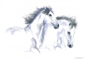 Twee paarden