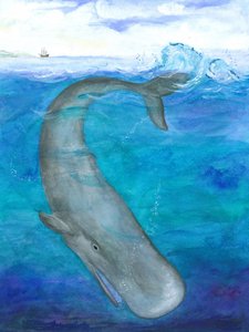 Oceaandans van de walvis