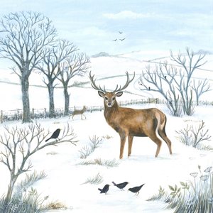 Winterhert