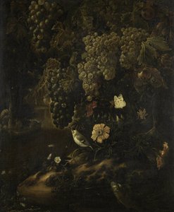 Druiven, bloemen en dieren