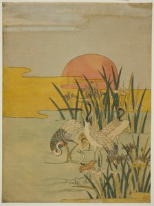 Kraanvogels in een irisbassin bij zonsopgang door Isoda Koryusai