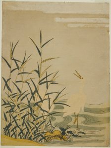 Reigers in het Riet door Isoda Koryusai