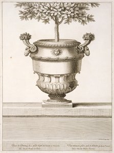 Bronzen urnen gebruikt voor citrusbomen, illustratie uit 