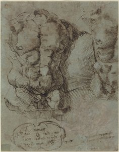 Studies van een Mannelijke Torso