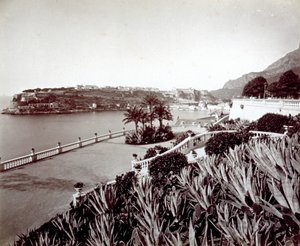 Panorama van Montecarlo. Op de voorgrond, dichte vegetatie van agaveplanten en cactus door Italian Photographer