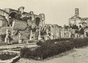 Forum Romanum, Basilica van Constantijn, Tempel van Romulus en Huis van de Vestaalse Maagden door Italian Photographer