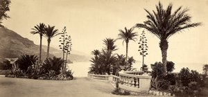 De tuin van het Casino van Montecarlo, in het Vorstendom Monaco