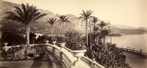 De tuin van het Casino van Montecarlo, in het Vorstendom Monaco