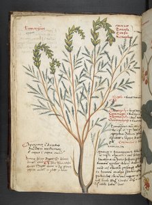 Add MS 41623 f.18v 