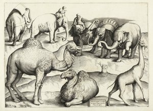 Dierschilderijen uit het oude Rome, Tafel, 3., pub. Antonio Lafrere 1528