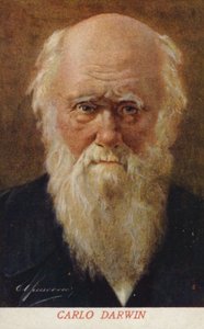 Charles Darwin (1809-1882), Engels natuuronderzoeker (kleurenlitho) door Italian School