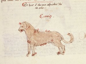 Constellatie van de hond (Canis)