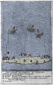 Koraalvissen in de Golf van Trapani in Sicilië, een voorstelling van kleine onderwatereilanden waar koraalvaten worden gevormd. Gravure uit 