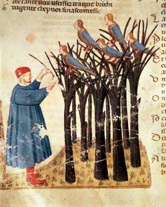 Dante en de zielen die in vogels veranderen, uit De goddelijke komedie door Dante Alighieri door Italian School