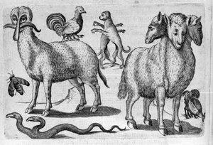 Verschillende soorten monsterlijke dieren, met meerdere lichamen of een abnormaal aantal ledematen. Gravure uit 