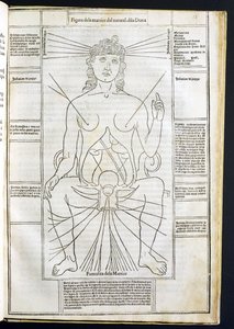 Vrouwelijke anatomie uit Fasciculus Medicinae door Johannes de Ketham (d.c.1490) ca.1507