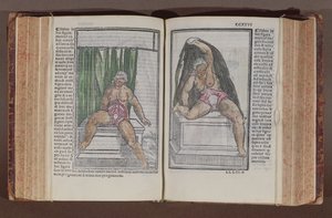 Vrouwelijke anatomie, uit Commentaria cum amplissimis additionibus super anatomiam mundini, door Jacopo Berengario da Carpi (c.1460-c.1530) gepubliceerd in Bologna, 1521 (kleur houtsnede) door Italian School