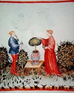 Fol.39v Basilicum Curatum Verzamelen, illustratie uit 