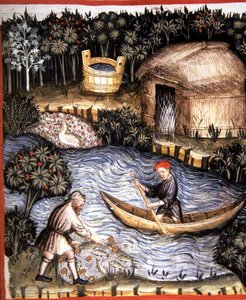 Fol.82r Verse Vis, illustratie uit 