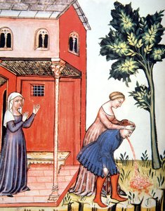Overgeven, illustratie uit Tacuinum Sanitatis Codex Vindobonensis