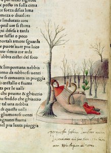 Fol. 52r uit 