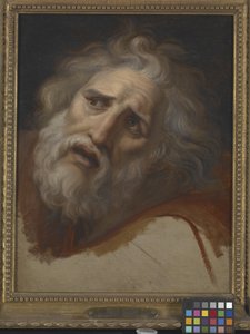 Hoofd Van Laocoon