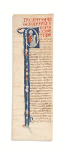 Geïllustreerde initiaal 