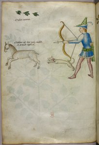 Illustratie van een man met een boog die op een dier schiet, met een hond en vogels erboven, ca. 1440 (inkt en kleur op perkament) door Italian School