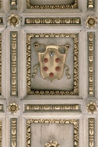 Medici Wapen, van het Plafond van de Kerk door Italian School