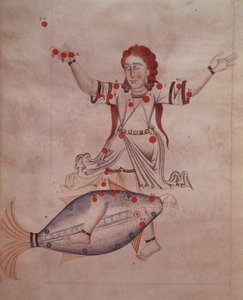 Ms.1036 De constellatie Vissen, uit 
