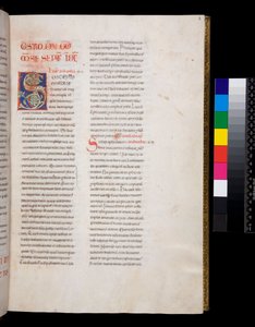 Ms 143. Gregorius de Grote, Registrum Epistolarum, f.8r. Gedecoreerde initiaal [S] met witte wijnstokblad invulling en finials door Italian School