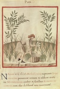Ms 3054 f.22 Prei Oogsten, uit 