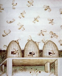 Nova 2644 fol.94v Bijenkorven, uit Tacuinum Sanitatis door Italian School