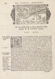 Pagina 742 uit Historia De Gentivus Septentrionalibus door Magnus Olaus, Rome 1565