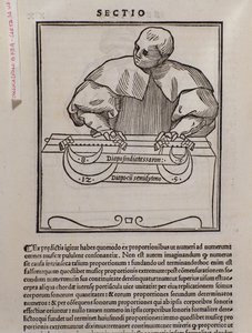 Pagina uit Musica theorica door Lodovico Fogliani (1475?-1542) (of Ludovico Foliani), muziektheoreticus. door Italian School
