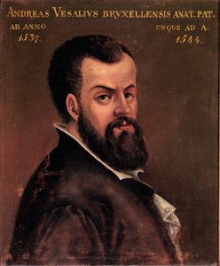 Portret van Andre Vesale (Andreas Vesalius) (1514-1564), anatoom en arts van Karel V anoniem schilderij van de Italiaanse school. 16e eeuw Padua, Universiteit door Italian School