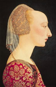 Portret van een Dame in Rood