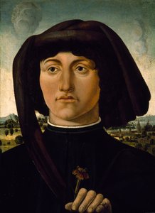 Portret van een jonge man met een roze bloem, ca. 1475-85 door Italian School