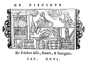 Zouten, drogen en roken van vis, illustratie uit Historia de Gentibus Septentrionalibus door Olaus Magnus (1490-1558), uitgegeven in Rome, 1555