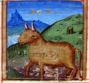Teken van de stier. Italiaans horoscoop, midden 15e eeuw