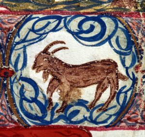 Steenbok teken. Italiaanse horoscoop, midden 15e eeuw.