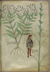 Sloane 4016 f.54 Man die in een pot urineert, uit 