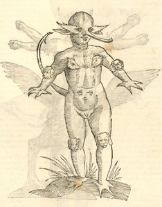Illustratie van Infans capitibus Animalium uit Aldrovandis Geschiedenis van Monsters, 1642