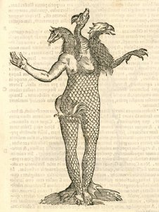 Illustratie van Monstrum triceps capite Vulpis, Draconis, & Aquilae uit Aldrovandis Geschiedenis van Monsters, 1642 door Italian School