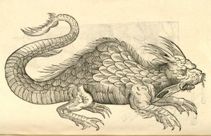Illustratie van Orobonis Piscis effigies uit Aldrovandis Geschiedenis van Monsters, 1642 door Italian School