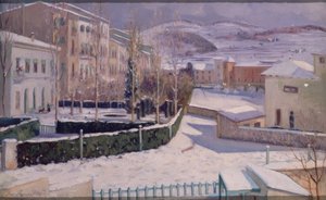 Besneeuwd Olot