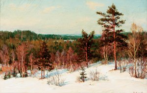 Winter - Uitzicht over het Bos door Ivan Fedorovich Choultse