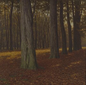 Boslandschap