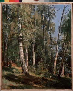 Berkenbos