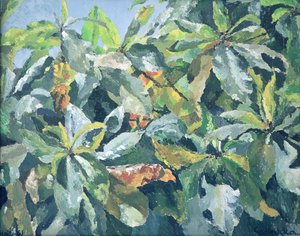 Planten, 1961 door Izabella Godlewska de Aranda